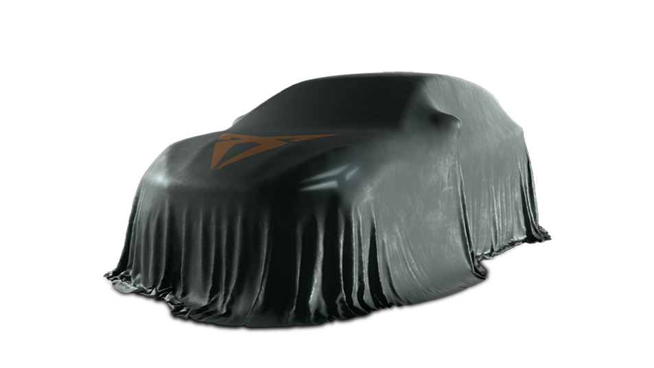 CUPRA Raval Trim unter Cover
