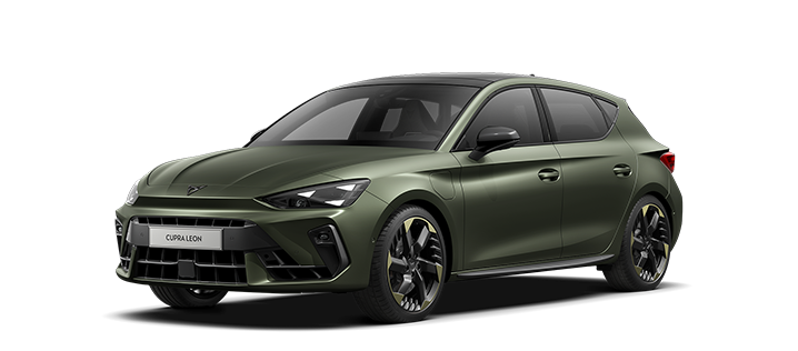 Leon VZ Tribe Edition