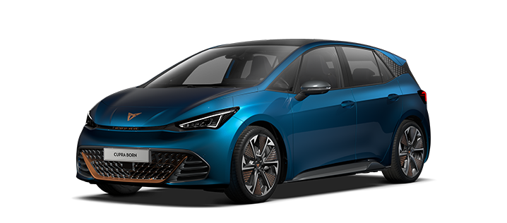 Born Edition Dynamic 